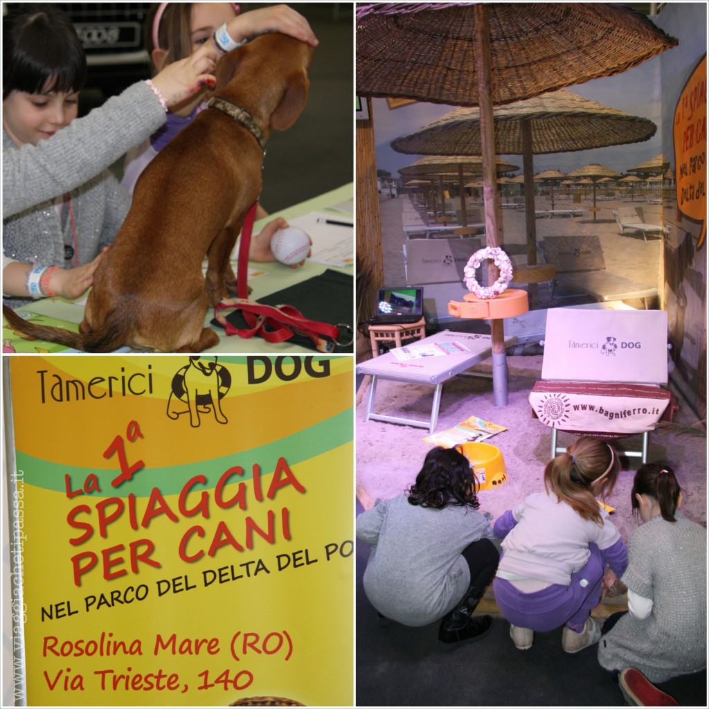 spiagge per cani childrens tour