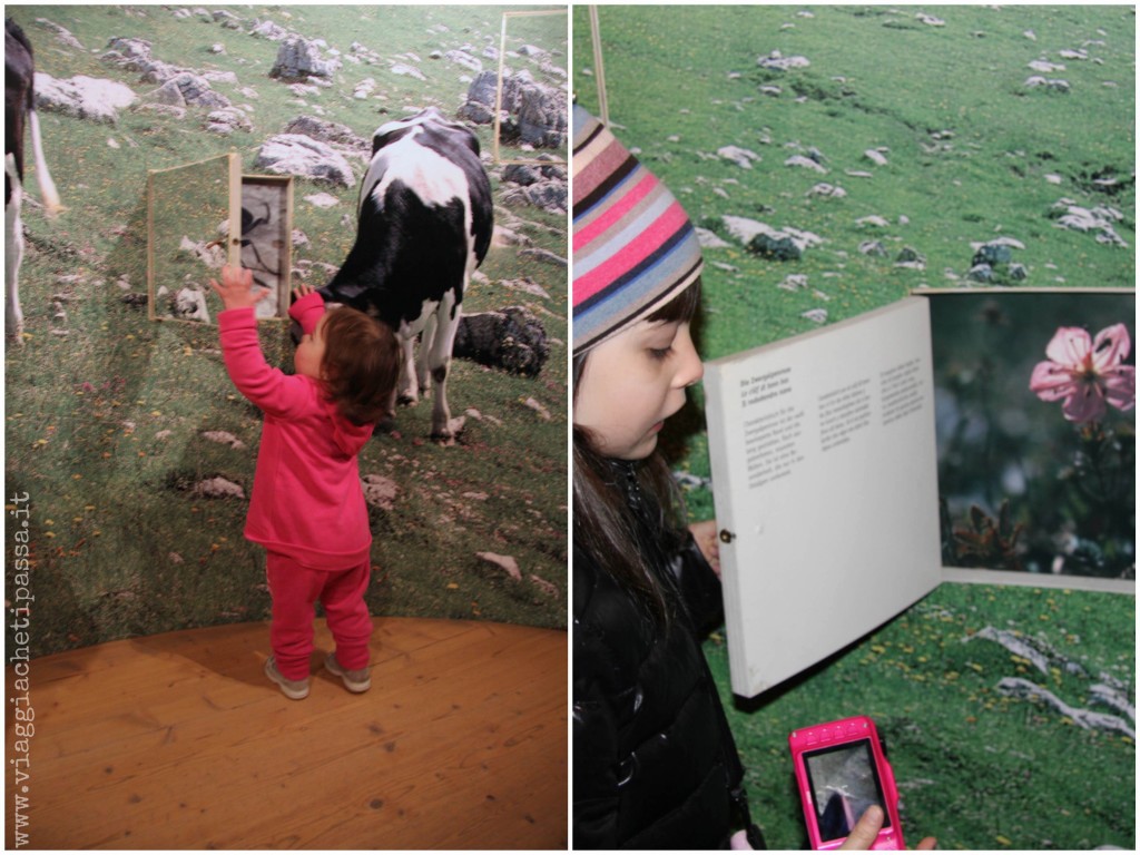 Centro visite S Vigilio Marebbe