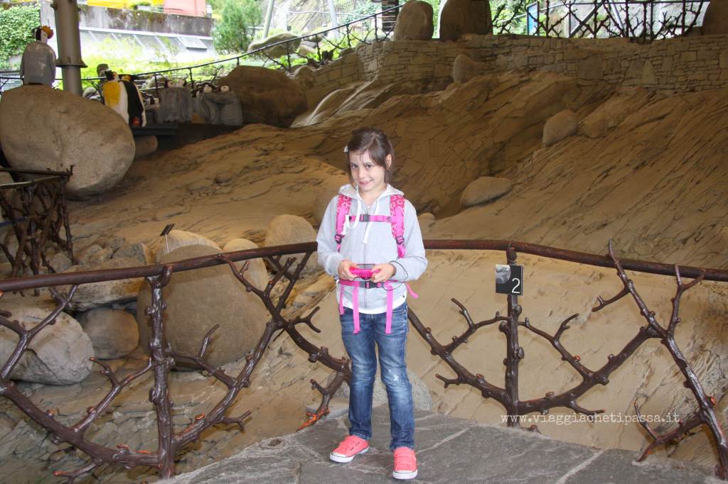 giardino dei ghiacciai
