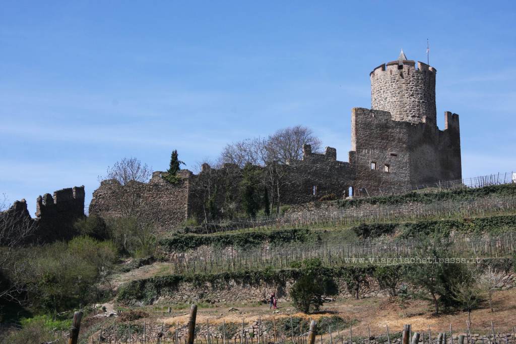 Castello di Kayserberg