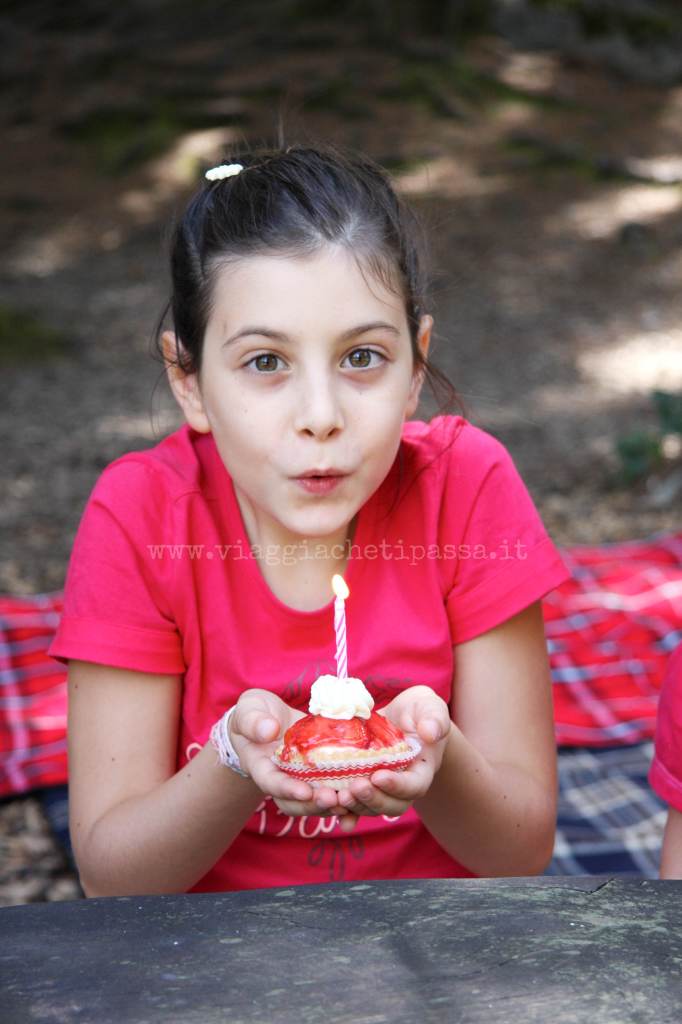 picnic al Crestasee