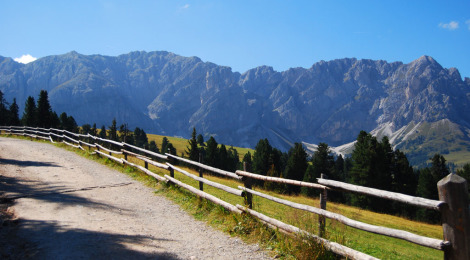 Passo delle Erbe, camminare in montagna col passeggino