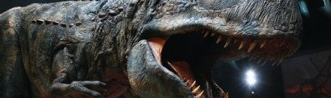 DINOSAUROMANIA,tutti gli eventi da non perdere