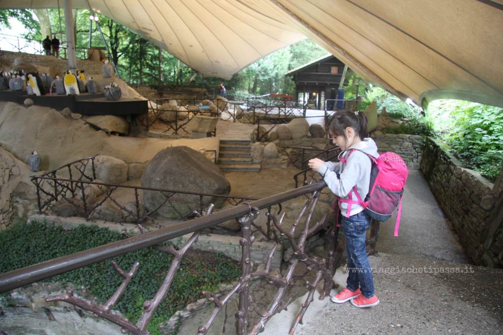 giardino dei ghiacciai Lucerna
